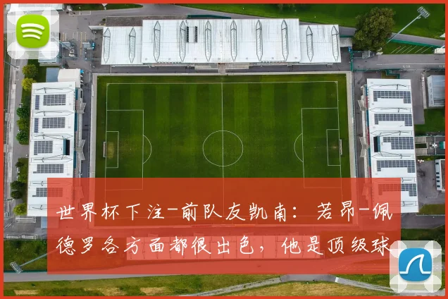 世界杯下注-前队友凯南：若昂-佩德罗各方面都很出色，他是顶级球员_1